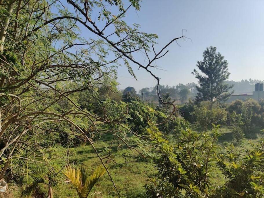 Sattva Farmstay Бангалор Экстерьер фото